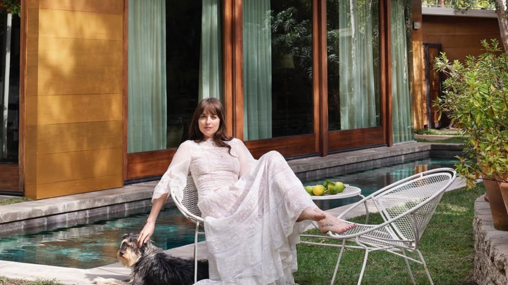 Майстер-клас з витонченого облаштування заднього двору - Дизайн 24 Майстер-клас з витонченого облаштування заднього двору - Дизайн 24