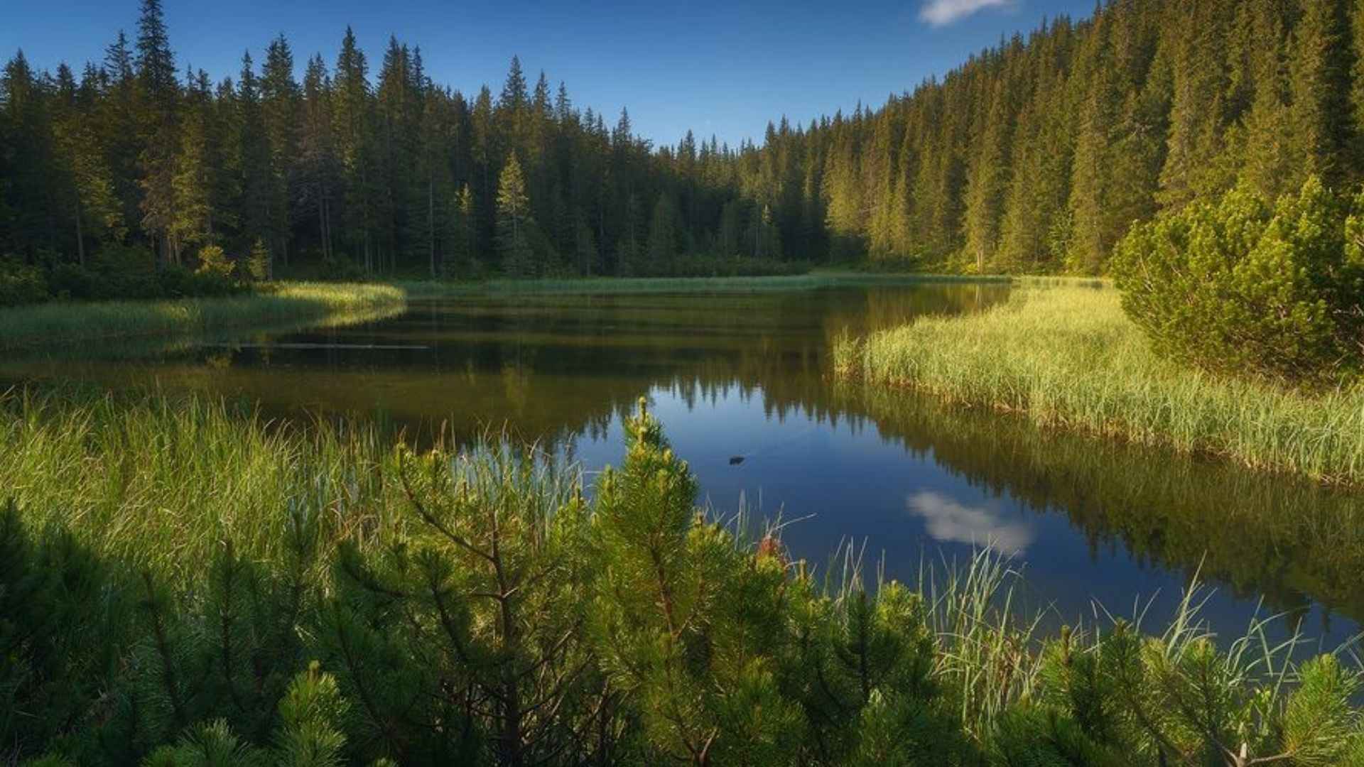 За червень потонули понад 90 людей За червень потонули понад 90 людей