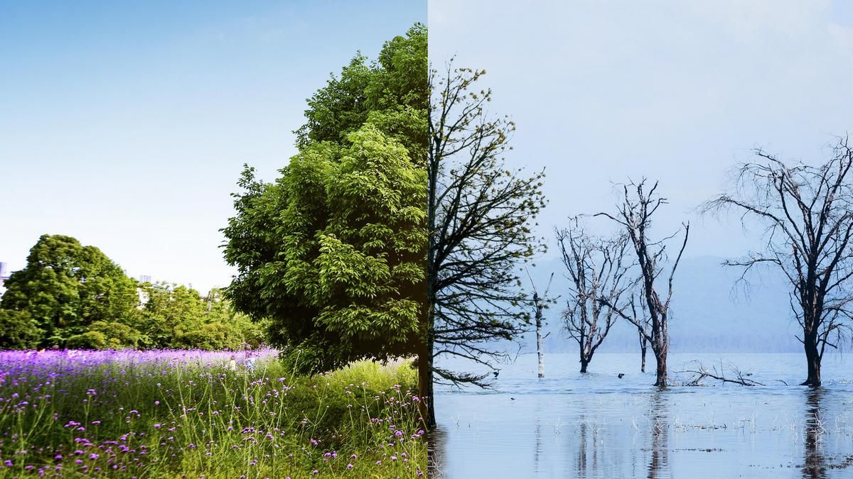 Когда люди начали менять климат Земли впервые в истории