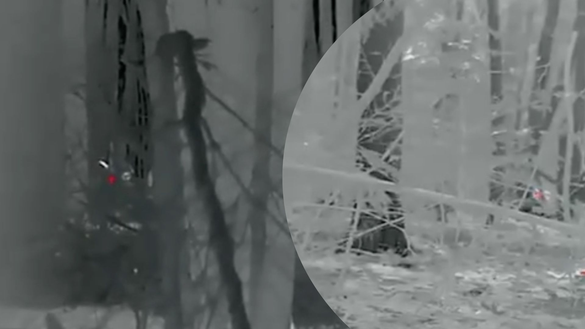 Воїни ССО влаштували засідку й знищили ворожу групу на кордоні Воїни ССО влаштували засідку й знищили ворожу групу на кордоні