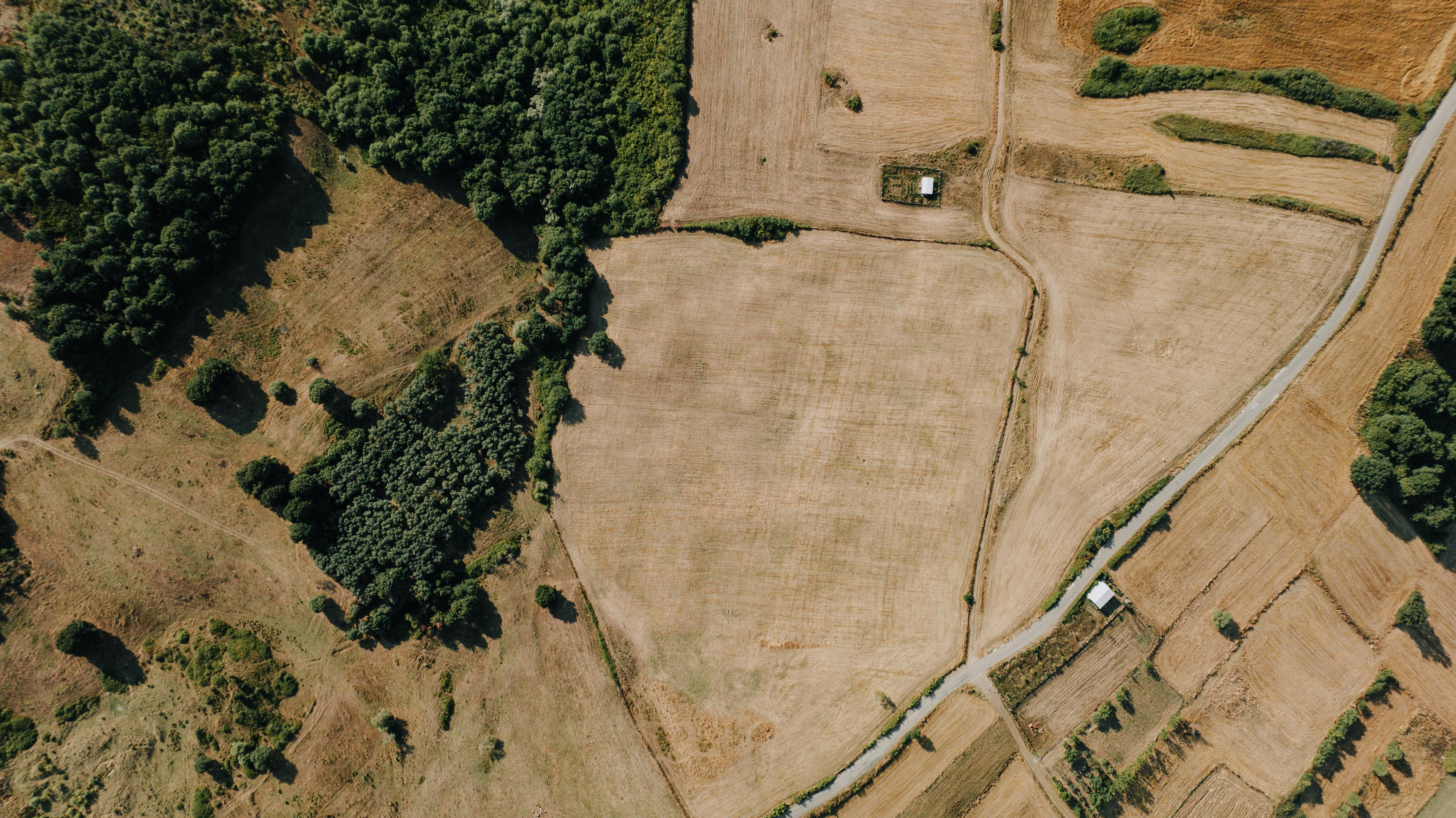 Сколько соток надо для частного жилья - где самая дорогая земля в Украине 2025