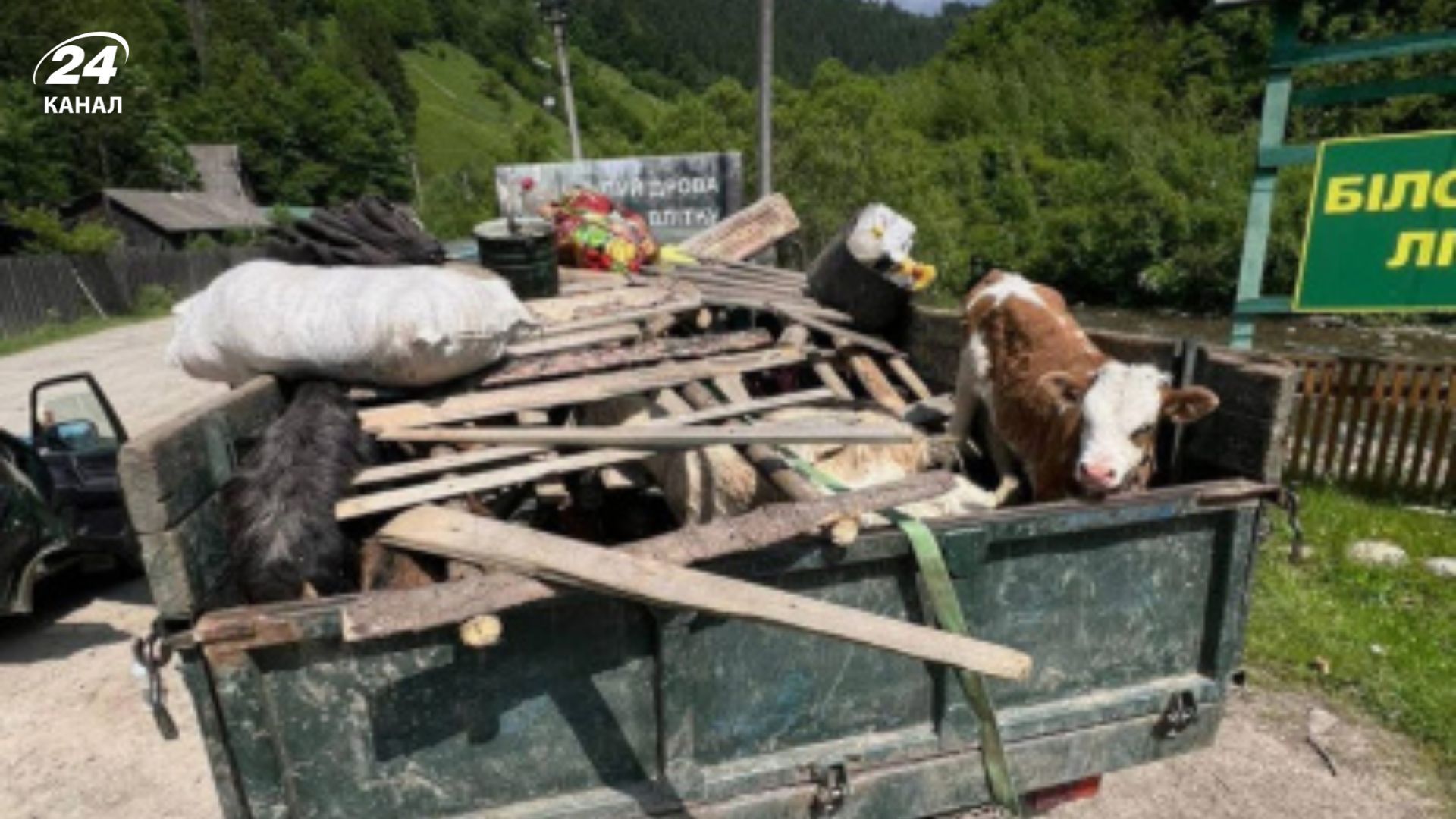 Уклонисты пытались покинуть страну интересным способом Уклонисты пытались покинуть страну интересным способом