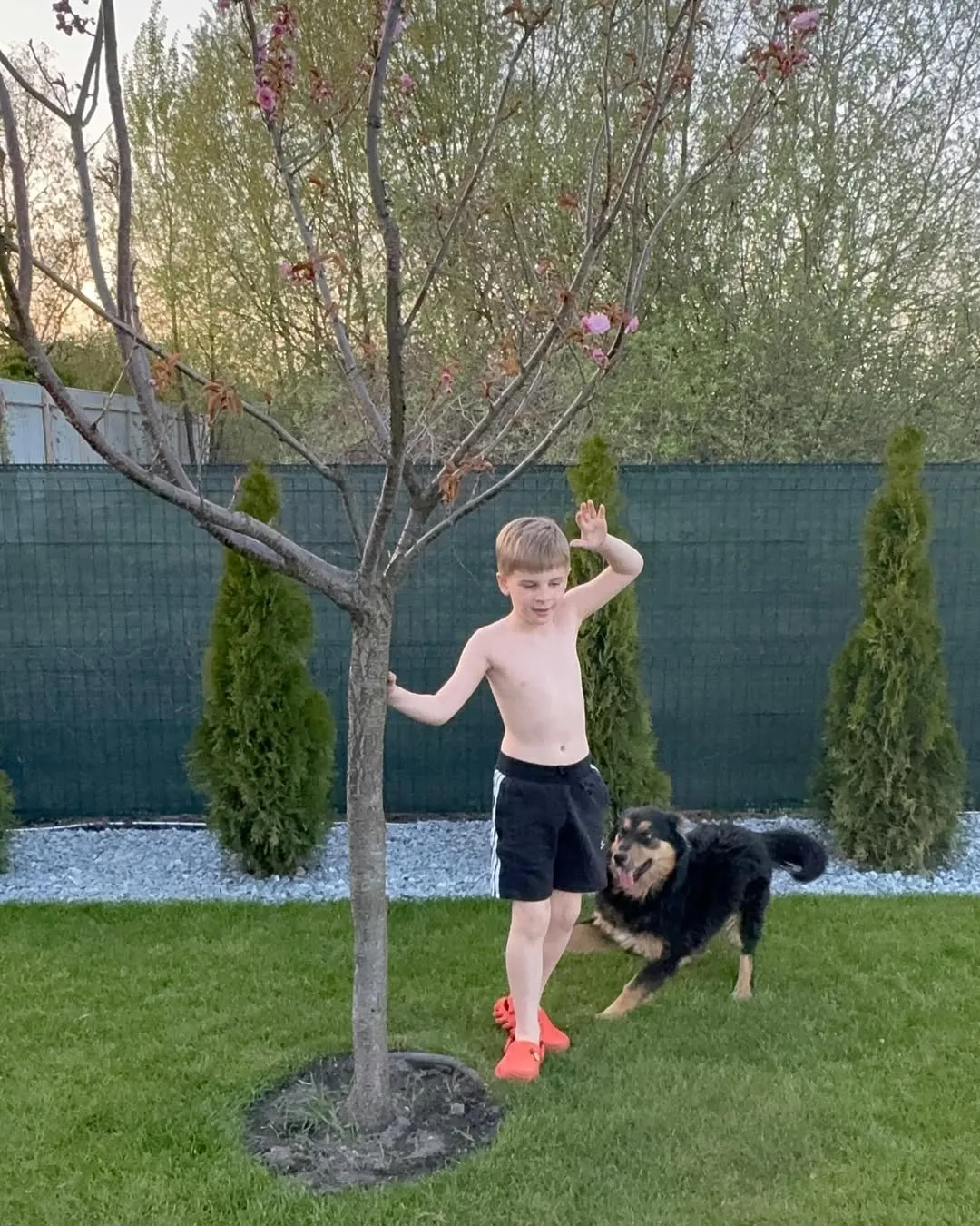 Сын Сергея Танчинца Сын Сергея Танчинца