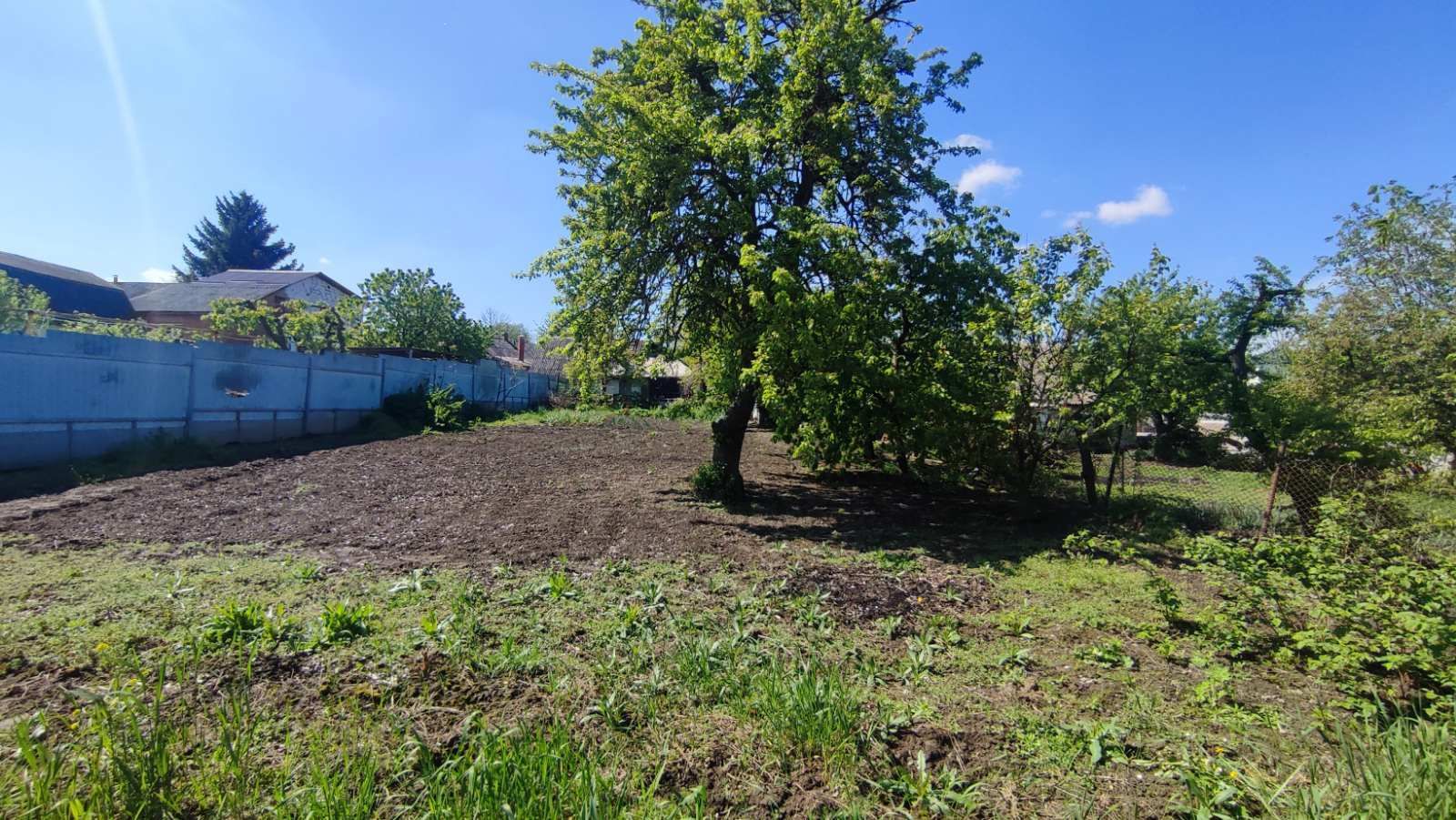 Який паркан можна ставити Який паркан можна ставити