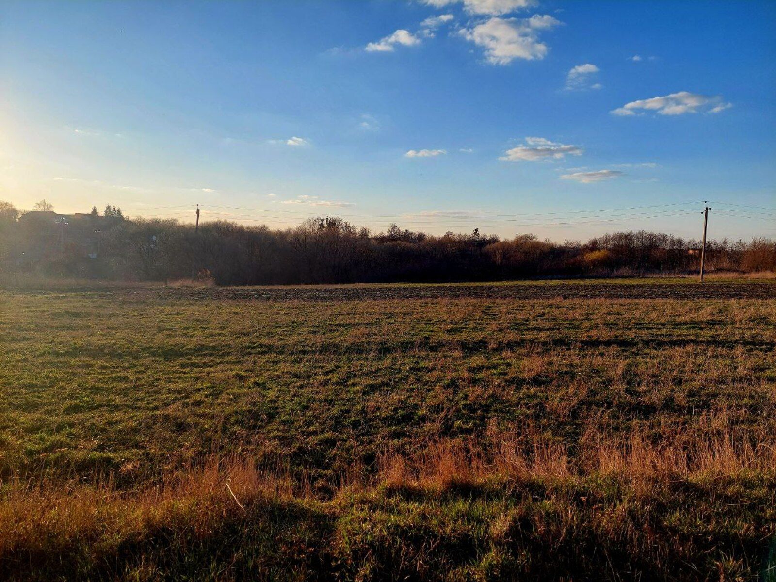 Кто может получить участок