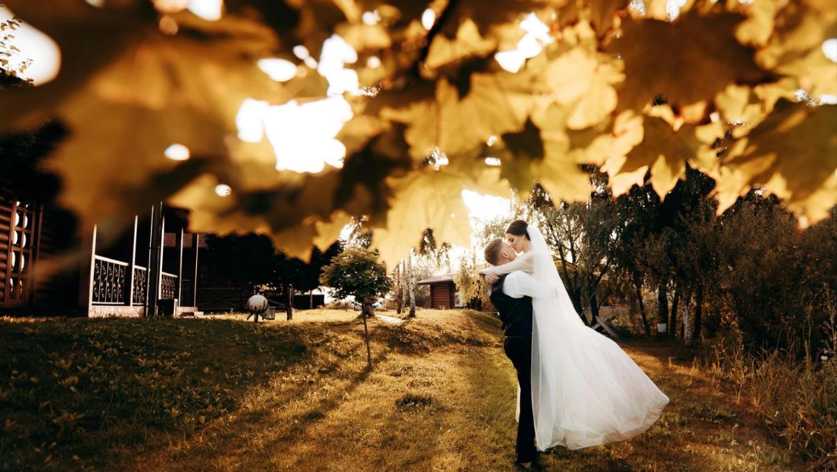 11 років весілля (сталеве весілля): що подарувати - lifestyle 24