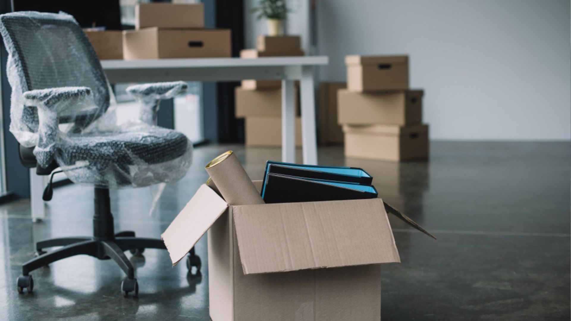 Деньги за размещение ВПЛ Деньги за размещение ВПЛ