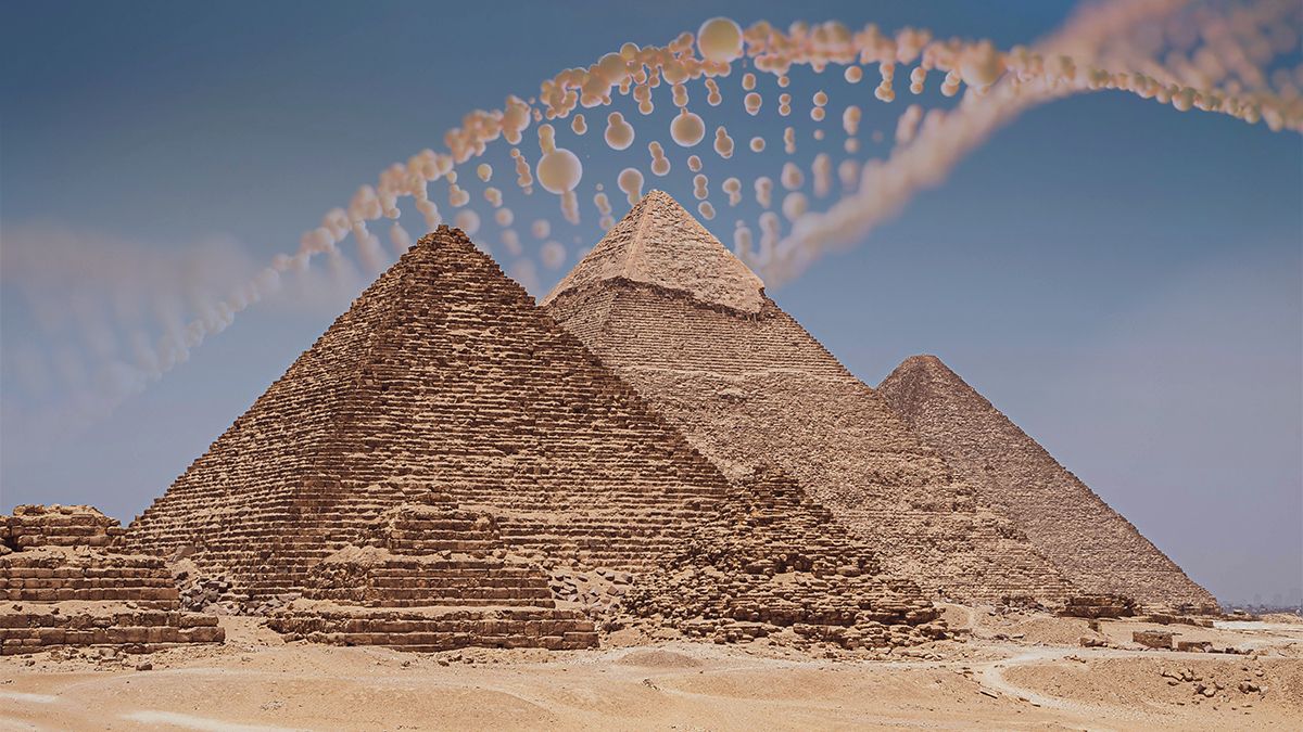 Учені вперше повністю секвенували геном єгиптянина, що жив понад 4500 років тому Учені вперше повністю секвенували геном єгиптянина, що жив понад 4500 років тому