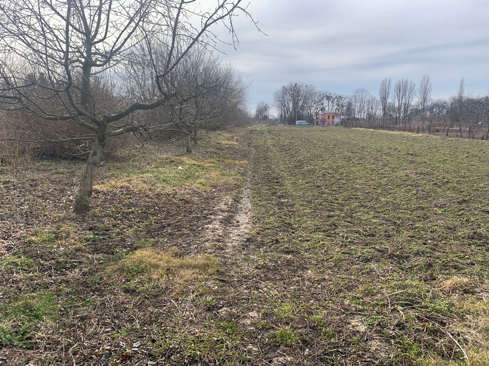 Скільки землі виділять УБД Скільки землі виділять УБД