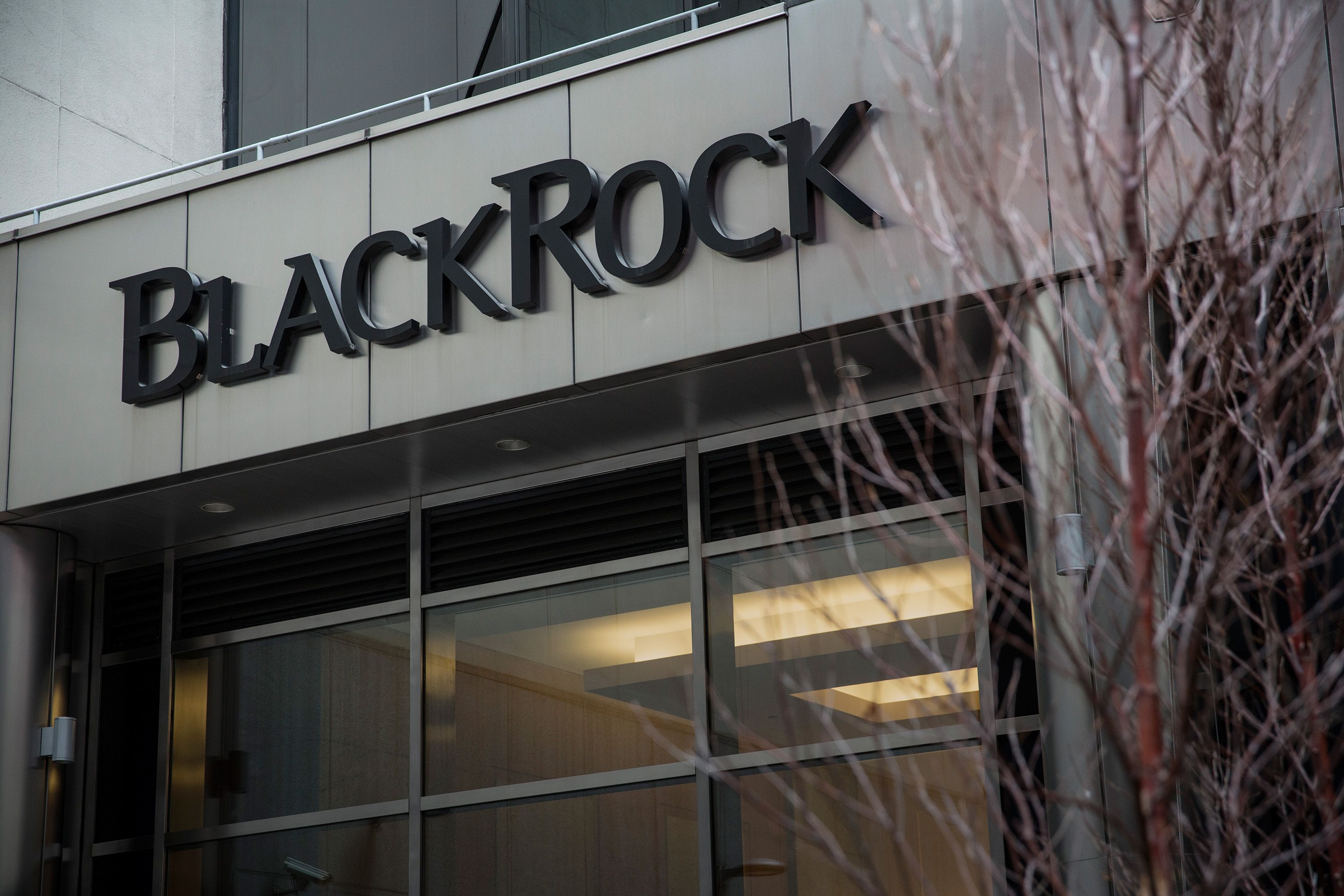 BlackRock зупинила пошук інвесторів для фонду відновлення України BlackRock зупинила пошук інвесторів для фонду відновлення України
