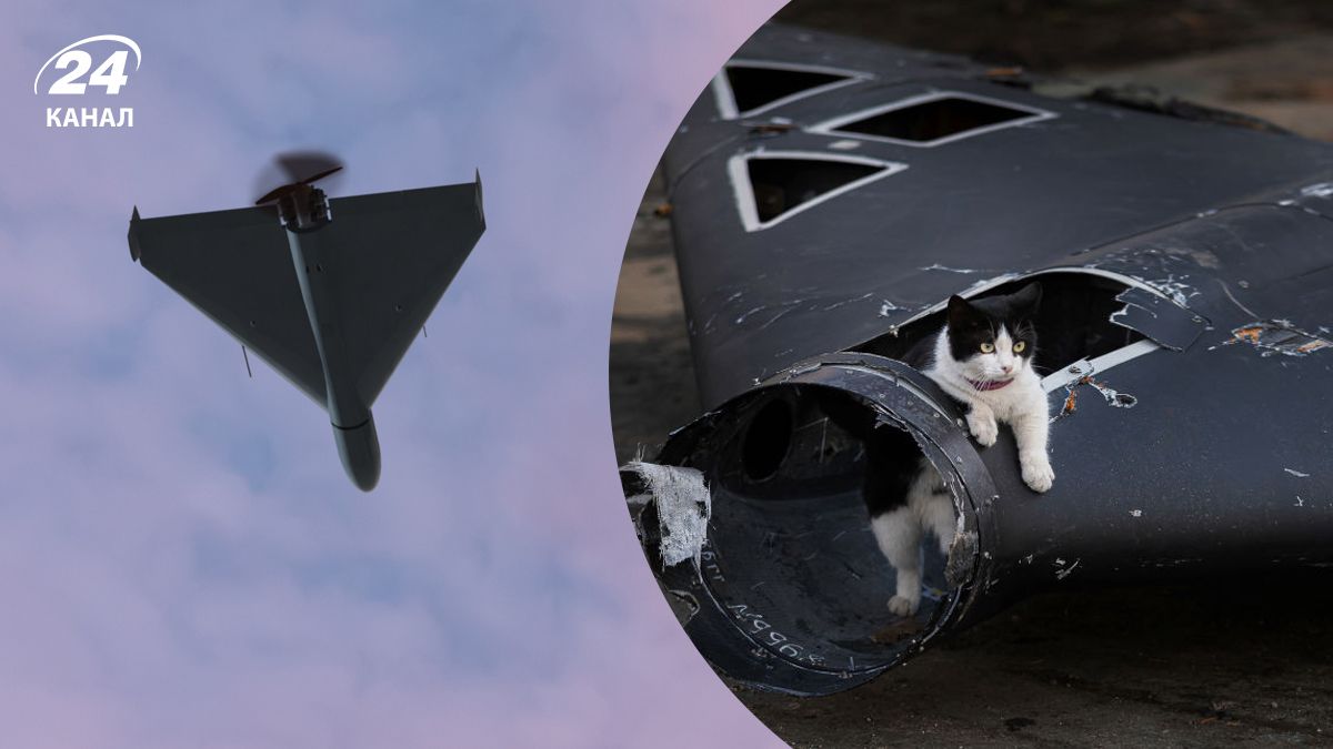 Как дроны-перехватчики помогут сбивать "Шахеды" Как дроны-перехватчики помогут сбивать "Шахеды"