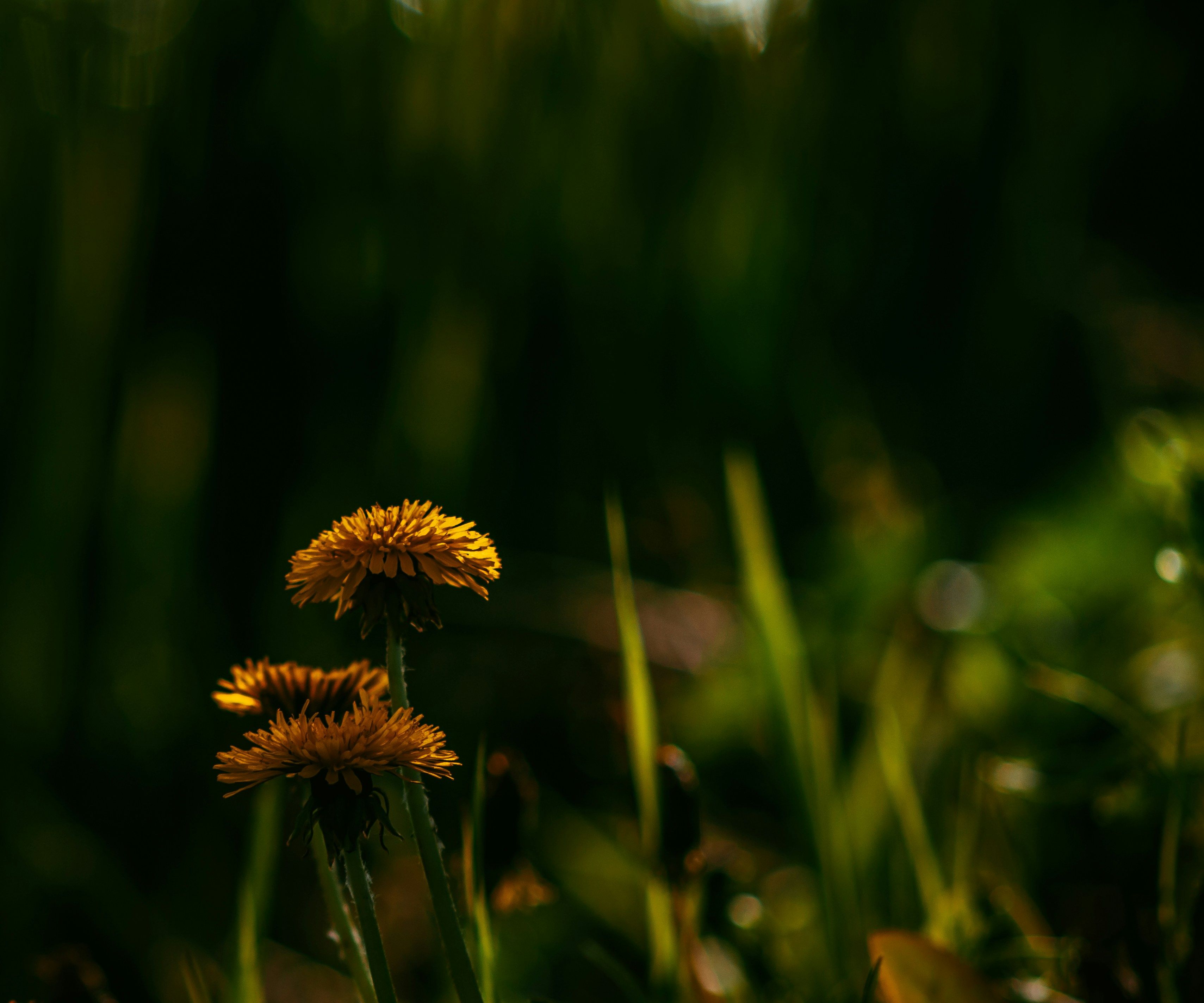 Погода 6 июля Погода 6 июля