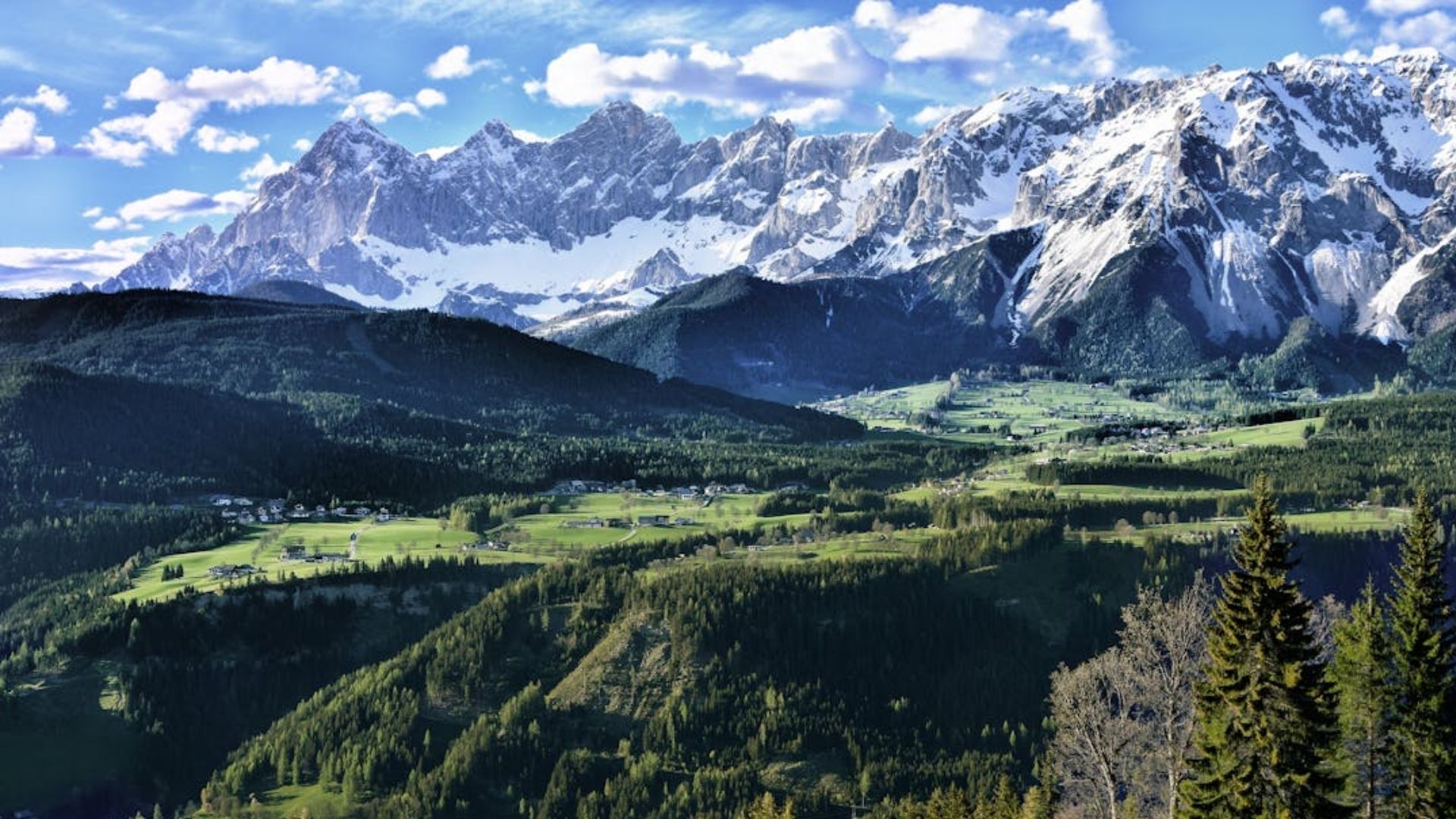 Авіакатастрофа в Альпах 5 липня 2025 року Авіакатастрофа в Альпах 5 липня 2025 року