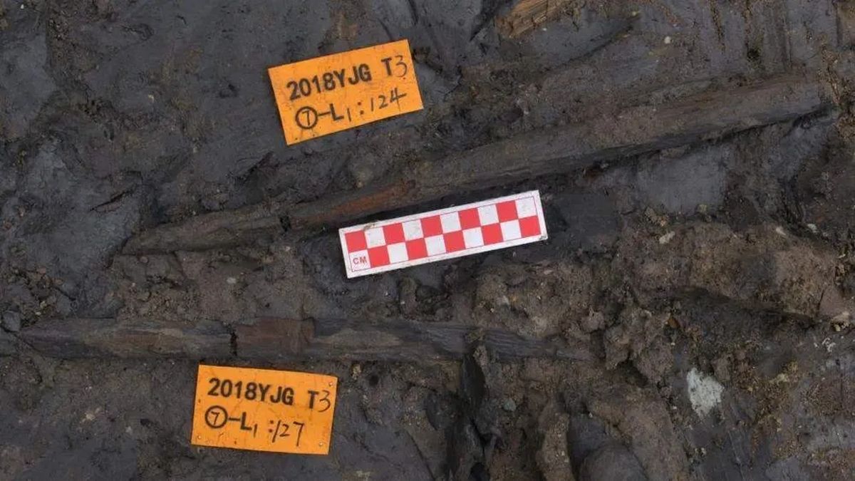 Найстаріші дерев’яні знаряддя в Китаї датовані віком 300000 років Найстаріші дерев’яні знаряддя в Китаї датовані віком 300000 років