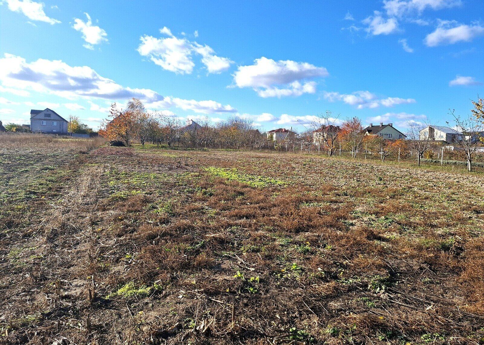 Сколько можно приватизировать земли Сколько можно приватизировать земли