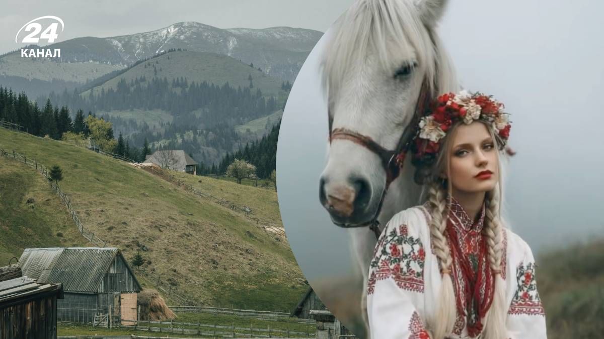 Тренд під пісню "Карпатський звук у тиші ранній"