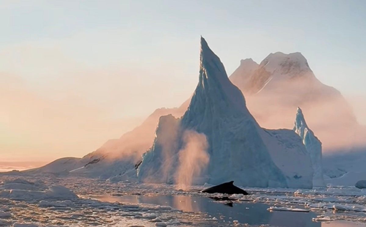 Замерзлий океан біля острова Галіндез