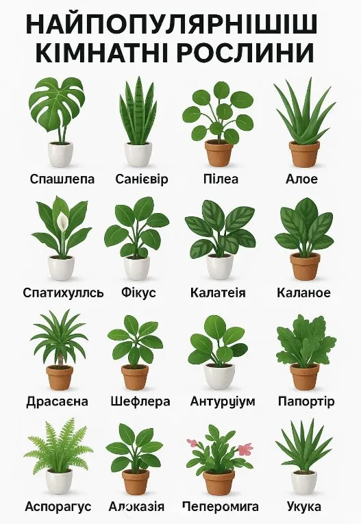 У мережі завірусилися абетки, створені ШІ 