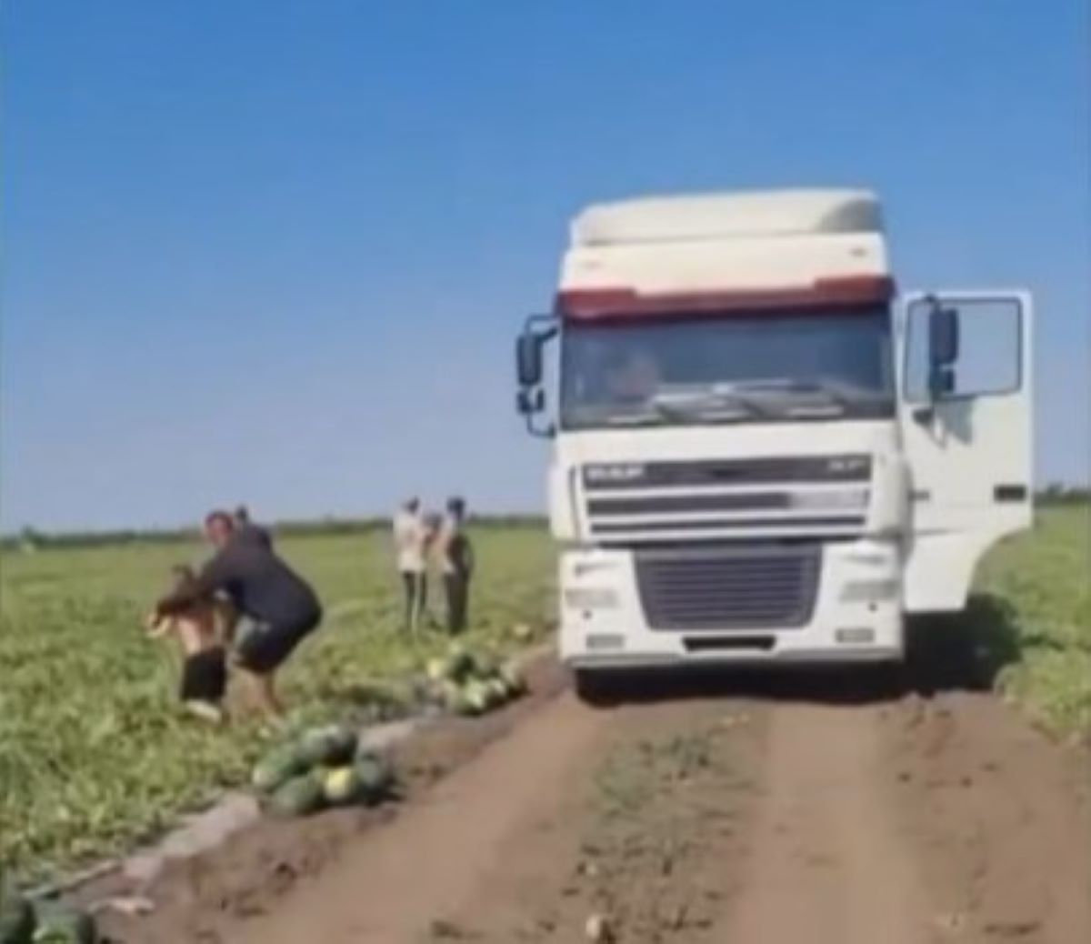 Россия атаковала фермеров на Херсонщине Россия атаковала фермеров на Херсонщине