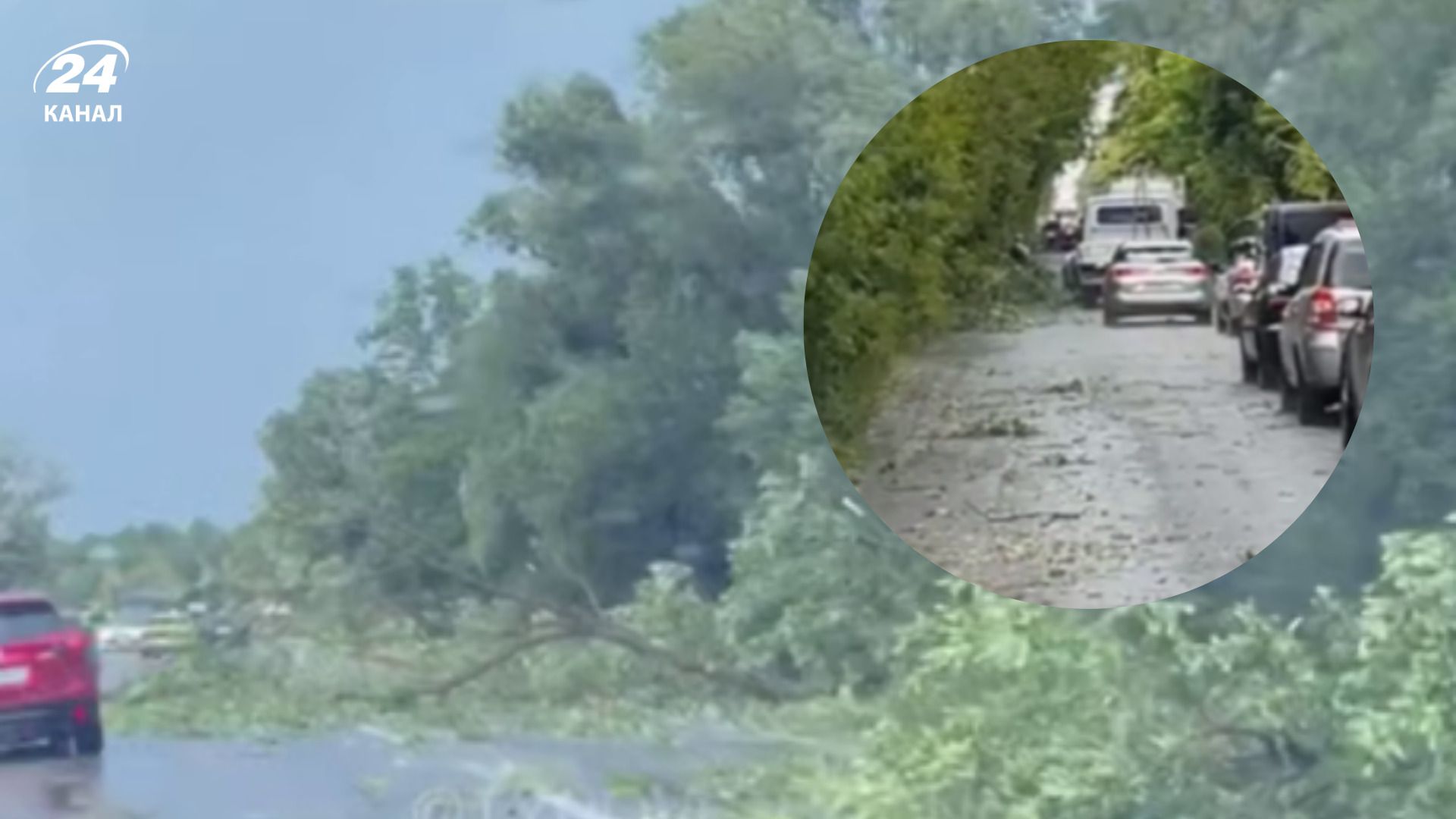 Повалені дерева та зірвані покрівлі: на Рівненщині пронісся буревій – відео наслідків негоди - 24 Канал