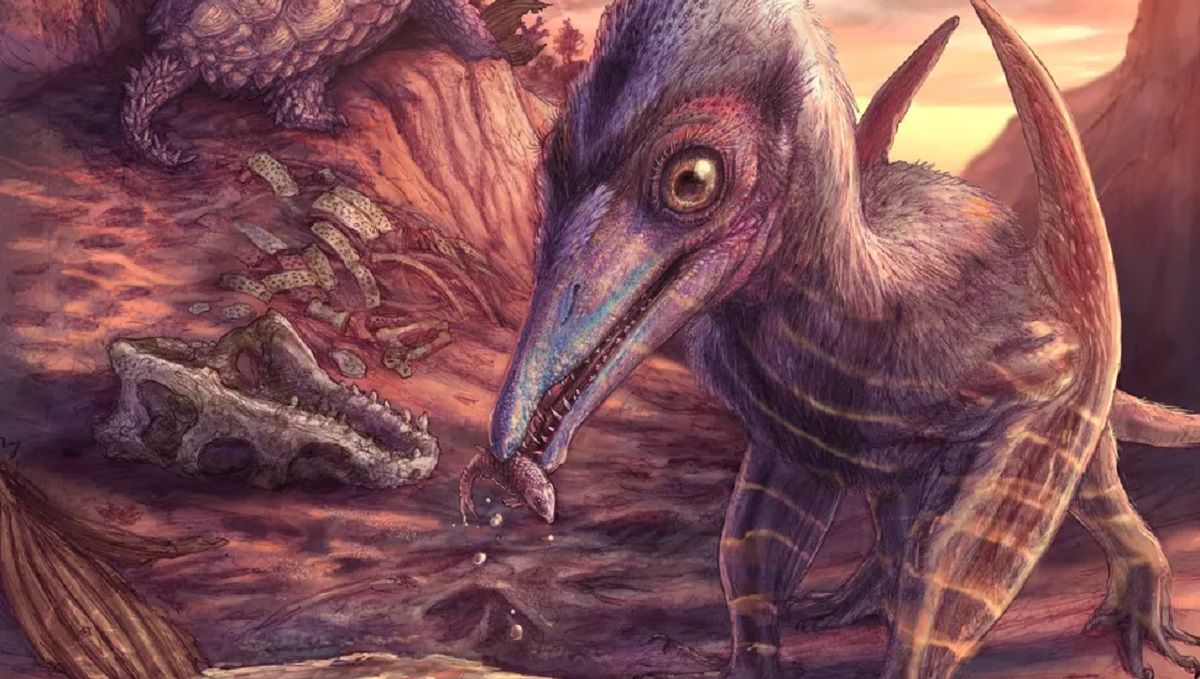 Древнейший птерозавр Северной Америки обнаружен в Аризоне - Техно Древнейший птерозавр Северной Америки обнаружен в Аризоне - Техно