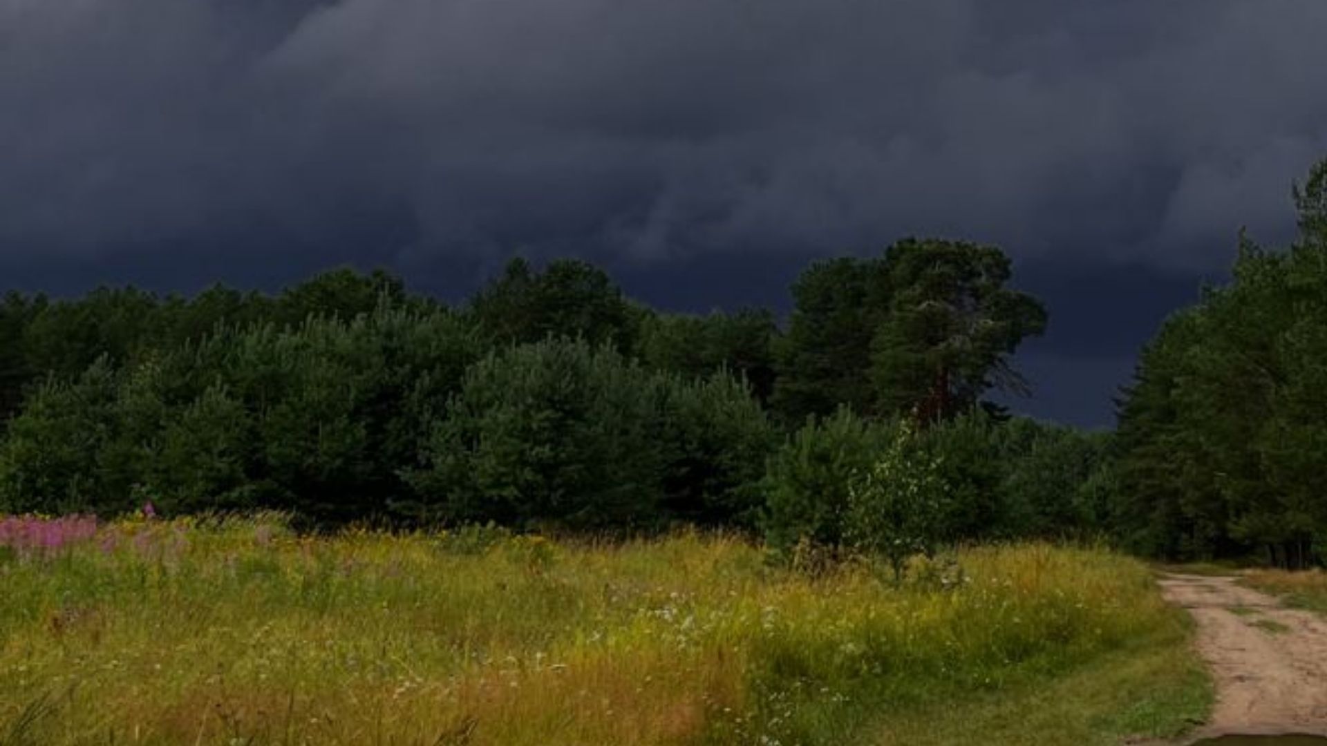 Непогода в Украине - прогноз погоды в областях 9 июля 2025 года