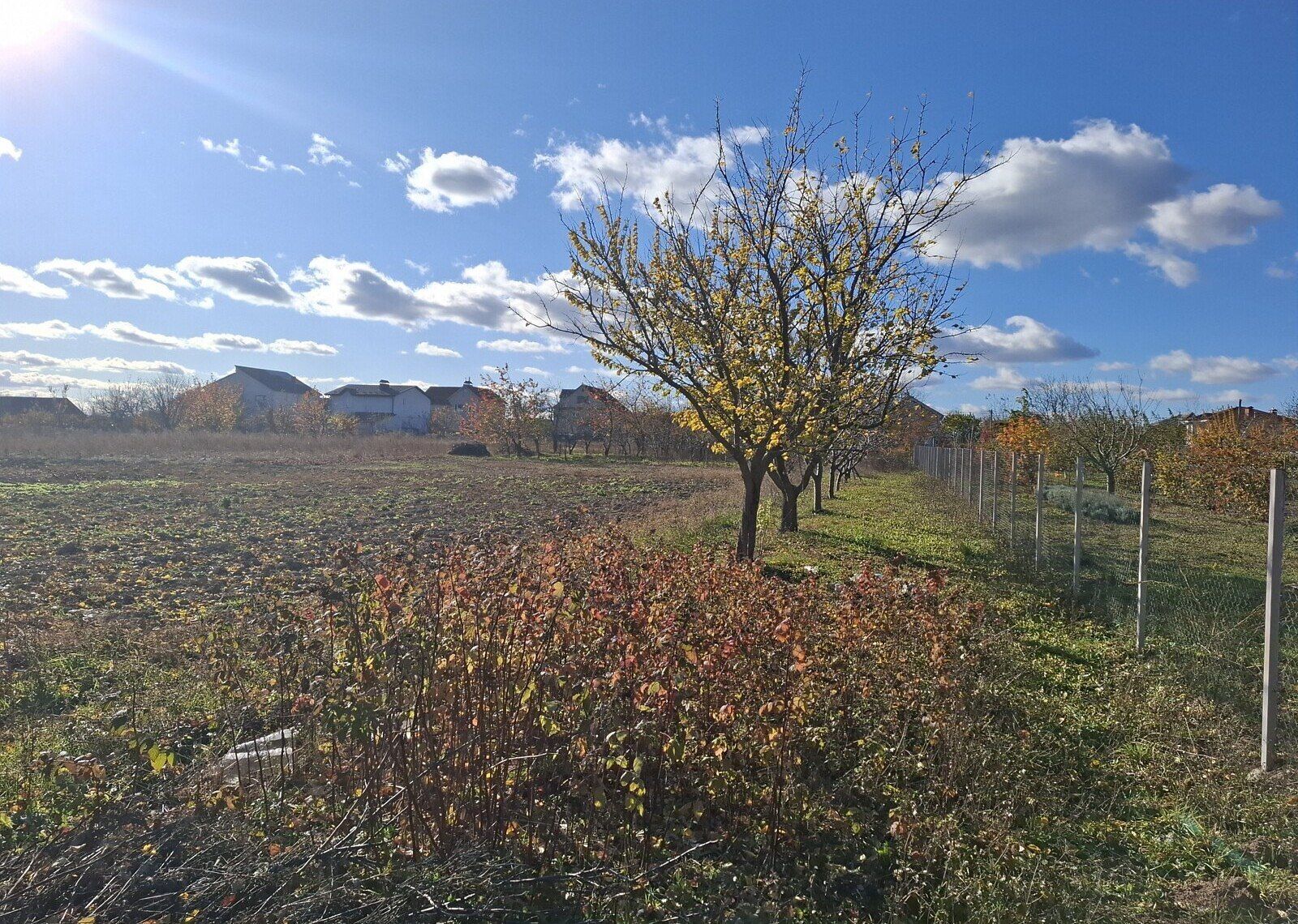 Яка відстань до паркану має бути