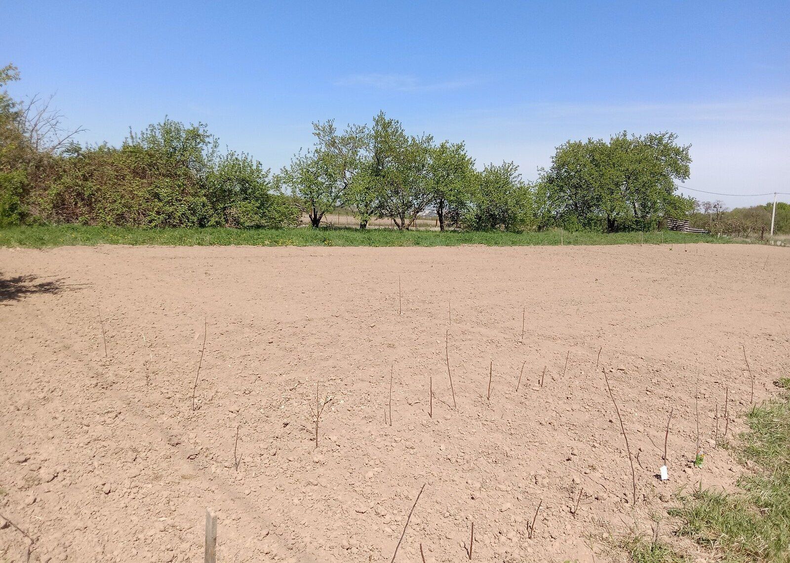 На скільки можна здати в оренду землю На скільки можна здати в оренду землю