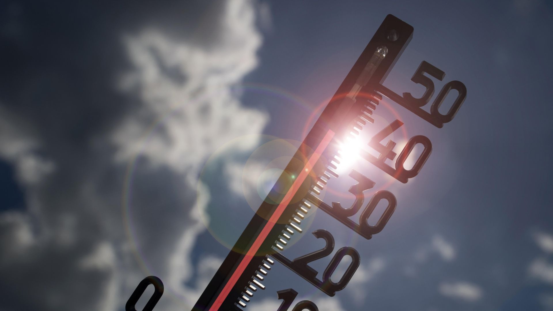 В Европе тысячи погибших из-за жары В Европе тысячи погибших из-за жары