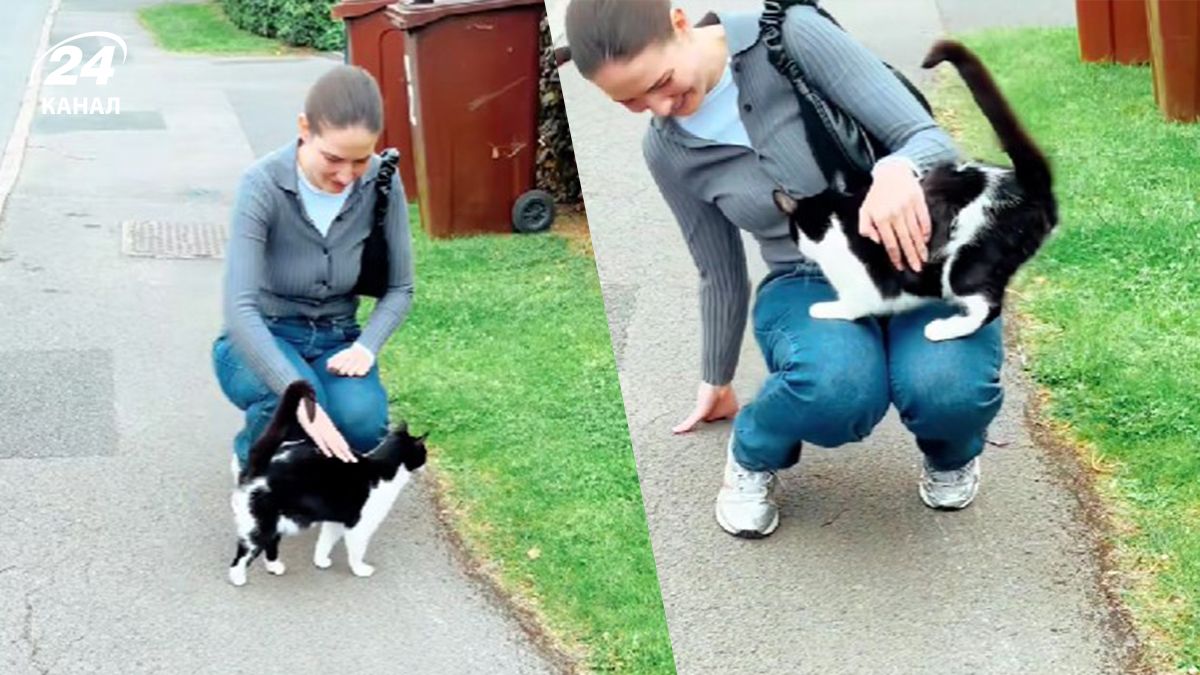 Американка поділилася незабутньою зустріччу з вуличною кішкою Американка поділилася незабутньою зустріччу з вуличною кішкою