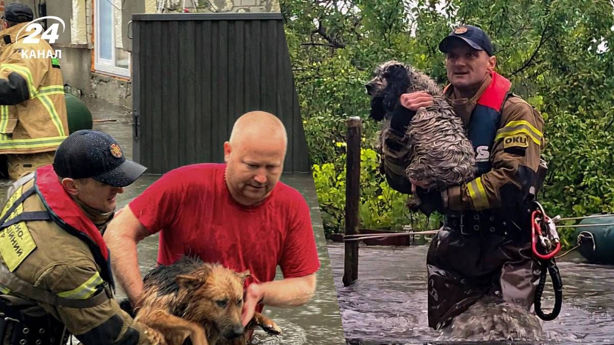 Затопление из-за непогоды во Львове и области Затопление из-за непогоды во Львове и области