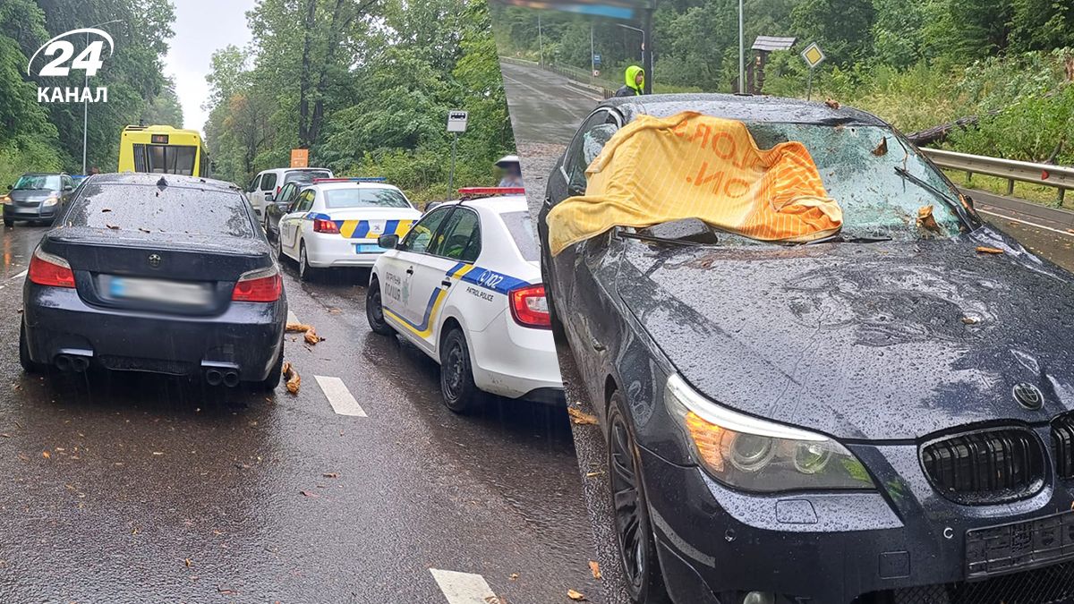 У Винниках на авто впало дерево У Винниках на авто впало дерево