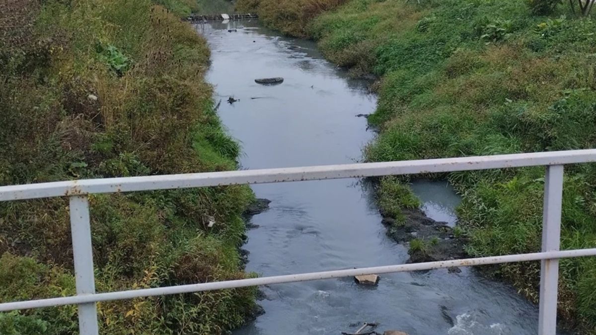 Річка Зубра біля Львова вийшла з берегів 10 липня 2025 Річка Зубра біля Львова вийшла з берегів 10 липня 2025