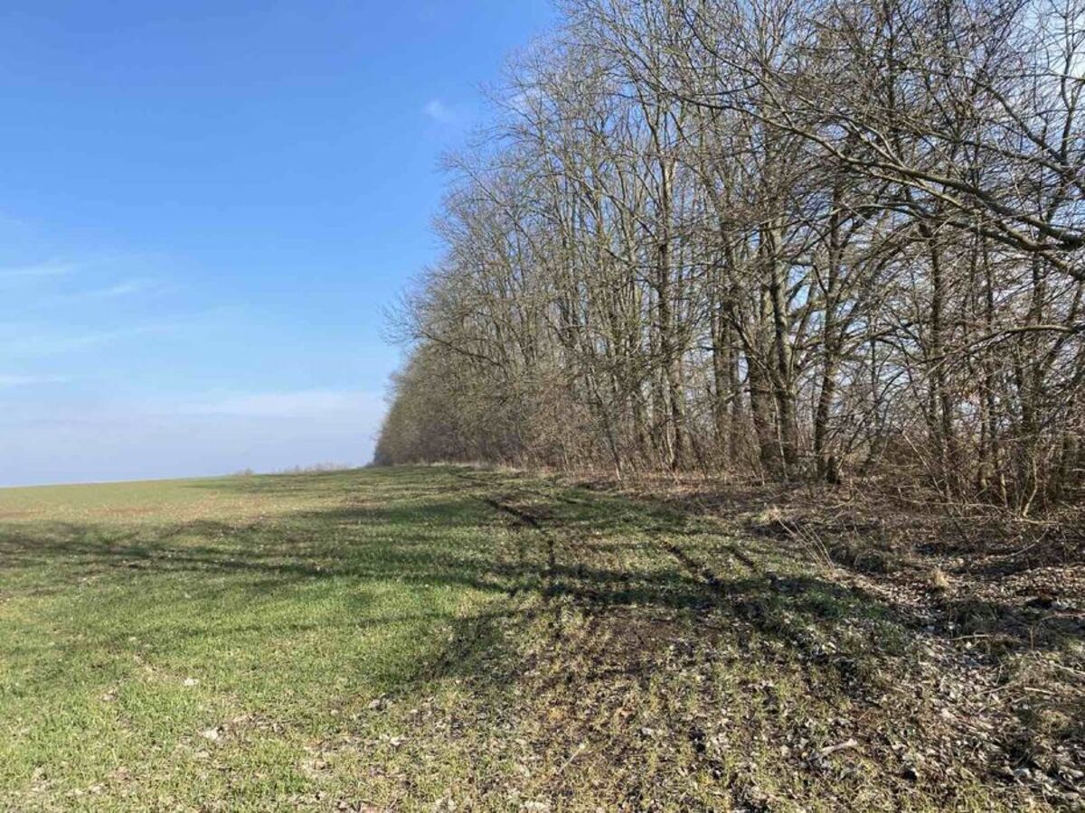 Как присвоить кадастровый номер Как присвоить кадастровый номер