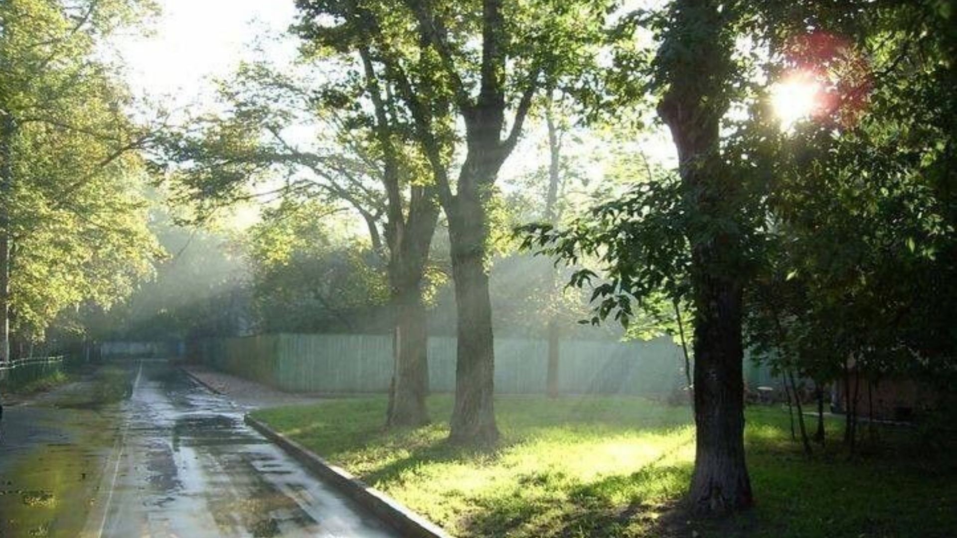 Погода в Україні 12 липня Погода в Україні 12 липня