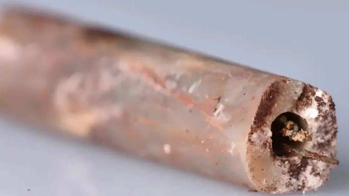 В гробнице китайского императора нашли стальные иглы, которым 2000 лет