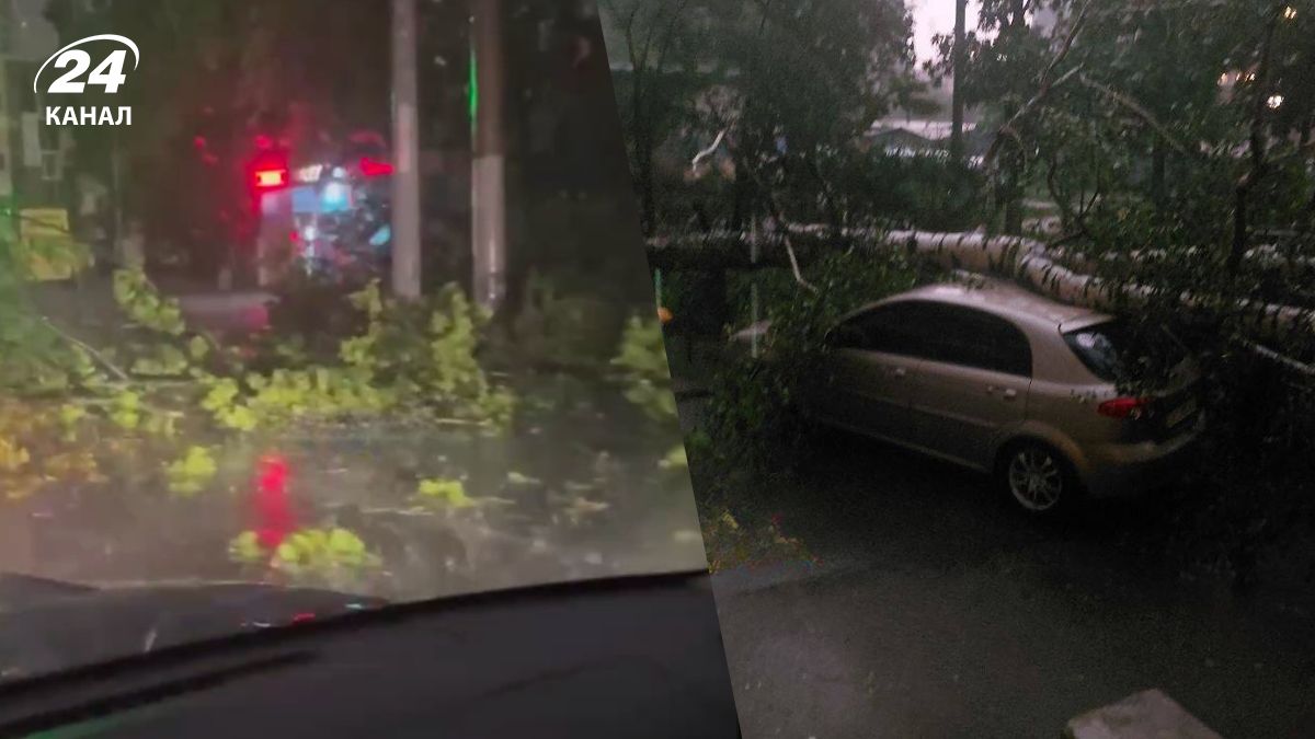 В Харькове из-за падения дерева 12 июля пострадала 7-летняя девочка из-за падения дерева В Харькове из-за падения дерева 12 июля пострадала 7-летняя девочка из-за падения дерева