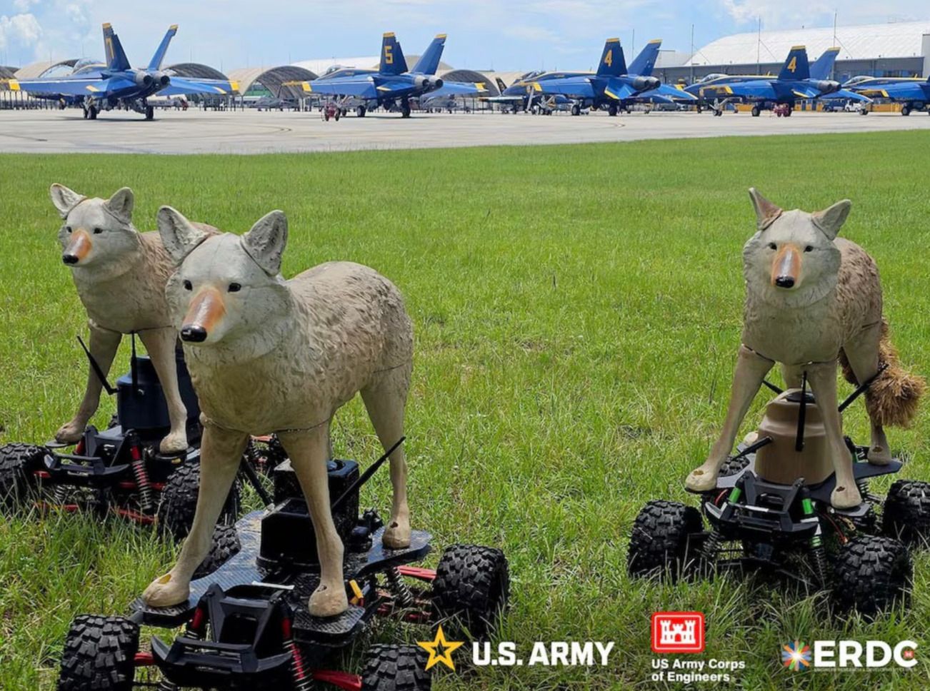 Роботи-койоти на авіабазах у США - що це та чому так важливо для армії