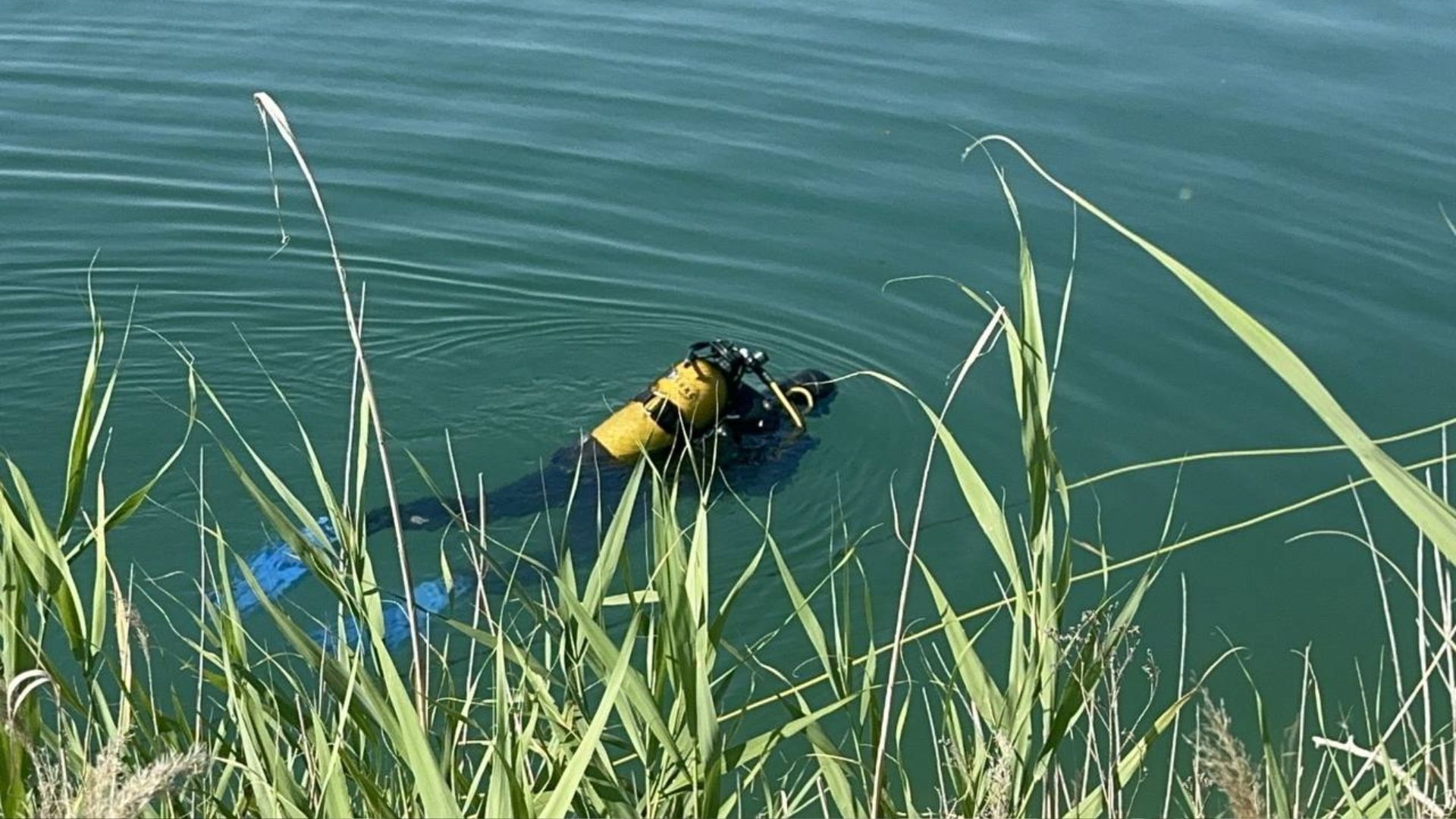 Трагедия во время купания в Запорожье Трагедия во время купания в Запорожье