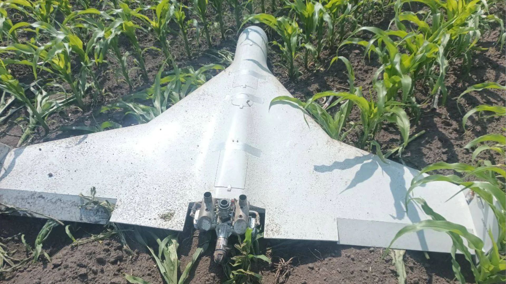 Россия начала использовать новый дрон на фронте Россия начала использовать новый дрон на фронте