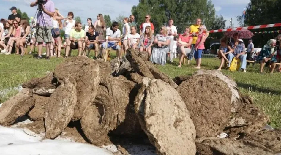 В России состоялся чемпионат по метанию коровьих кизяков В России состоялся чемпионат по метанию коровьих кизяков