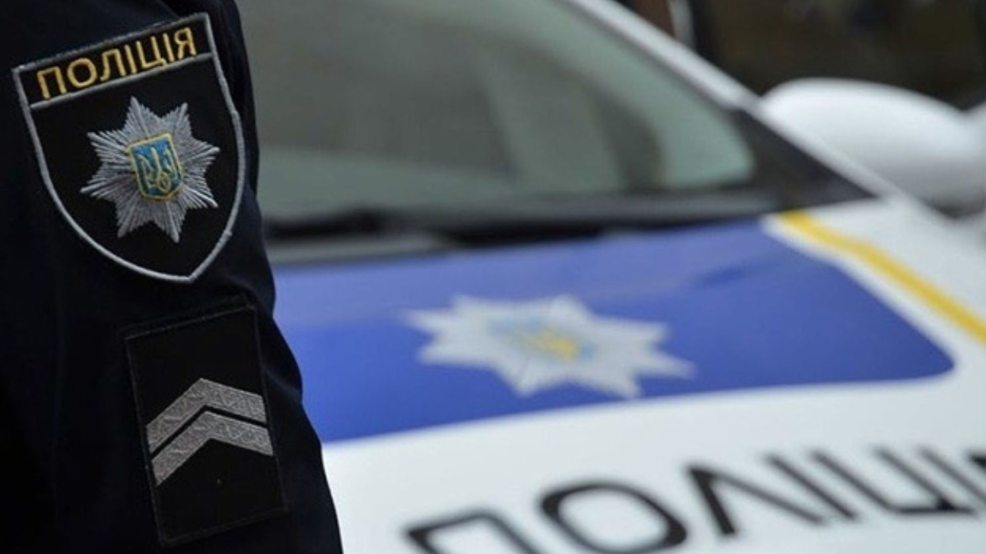 В Днепре полиция расследует факт гибели восьми щенков В Днепре полиция расследует факт гибели восьми щенков