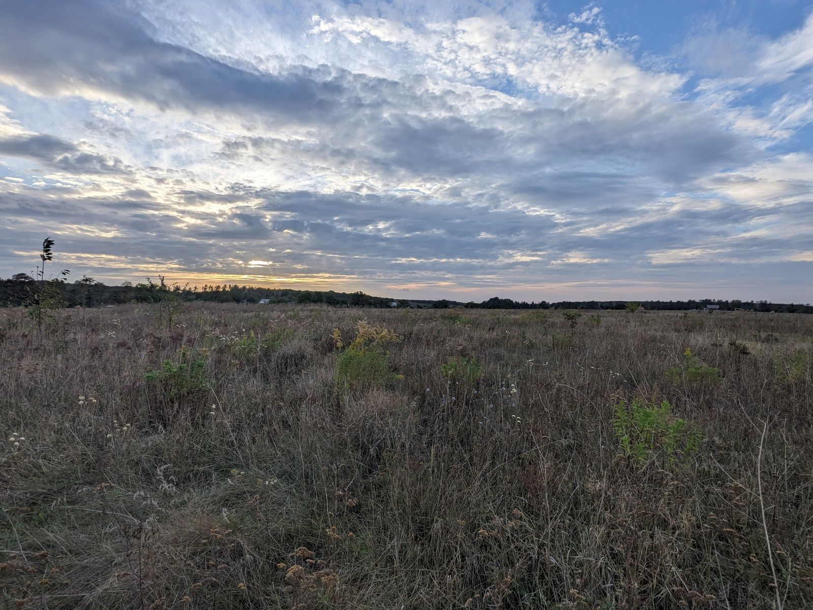 Сколько стоит 1 гектар земли в Украине Сколько стоит 1 гектар земли в Украине