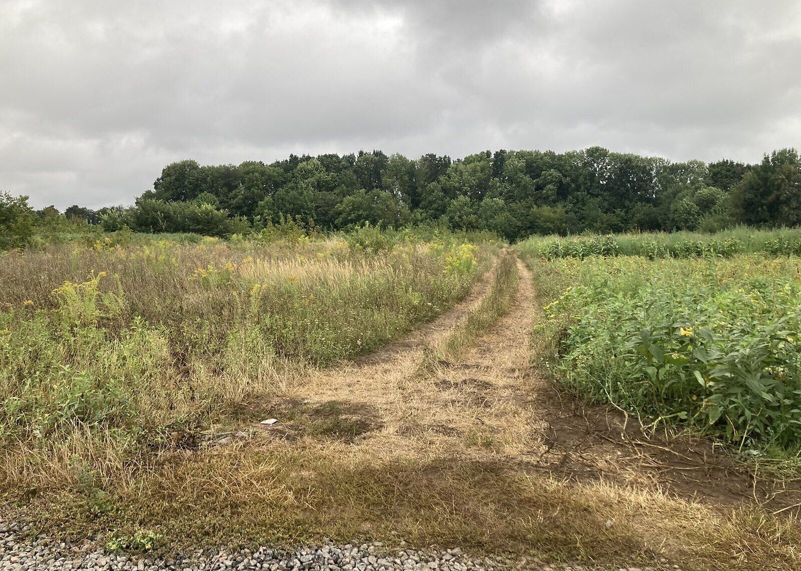 Продажа права аренды Продажа права аренды