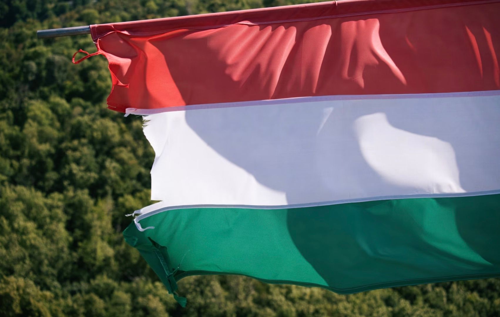 Пересечение границы с Венгрией