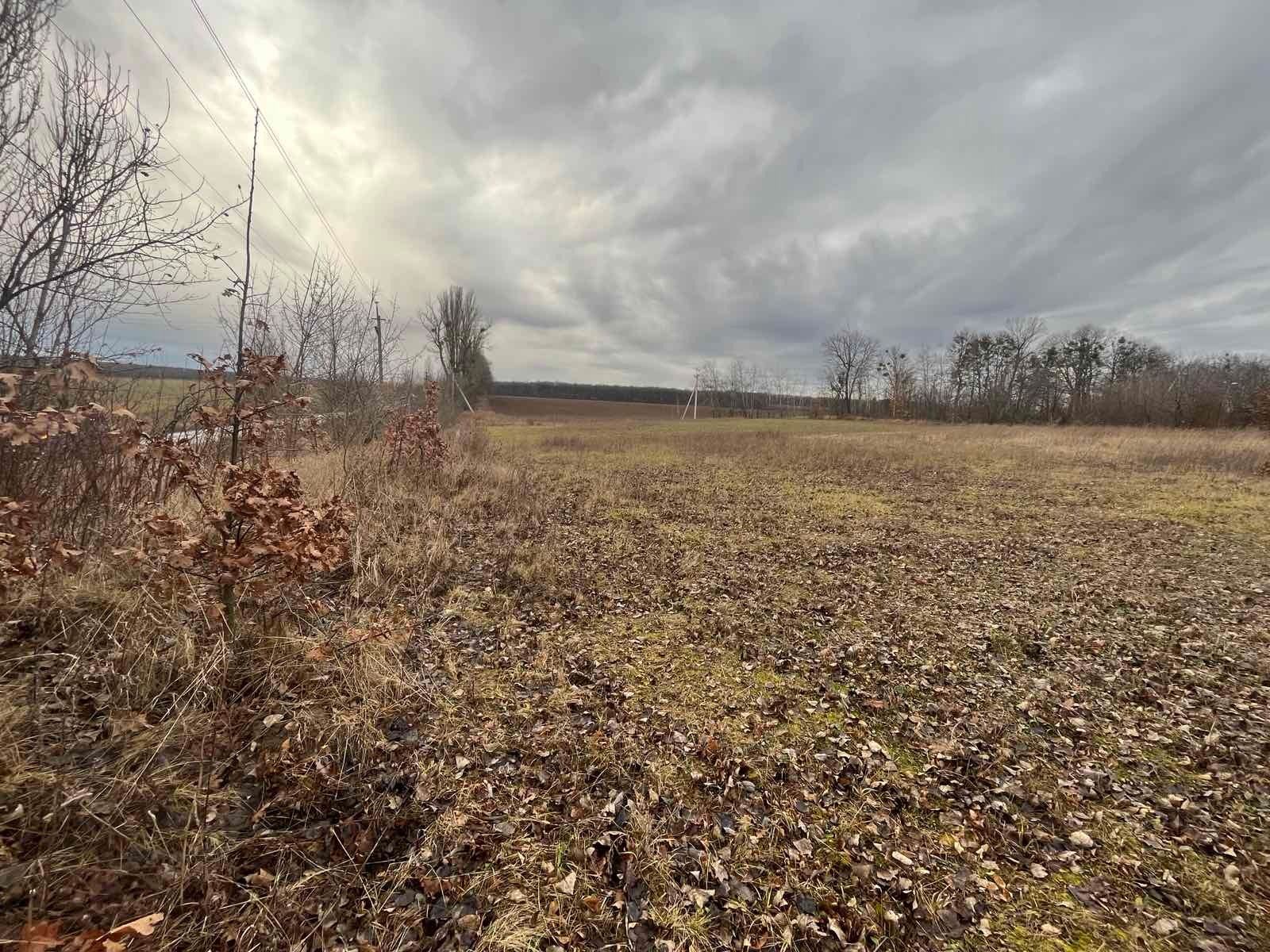 Де земля найдорожча Де земля найдорожча