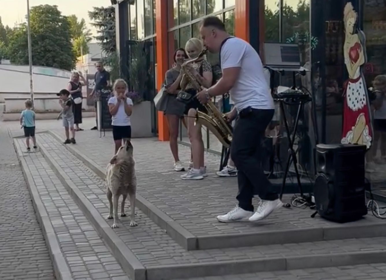 Відео із собакою з Кривого Рогу та музикантом облетіло мережу Відео із собакою з Кривого Рогу та музикантом облетіло мережу