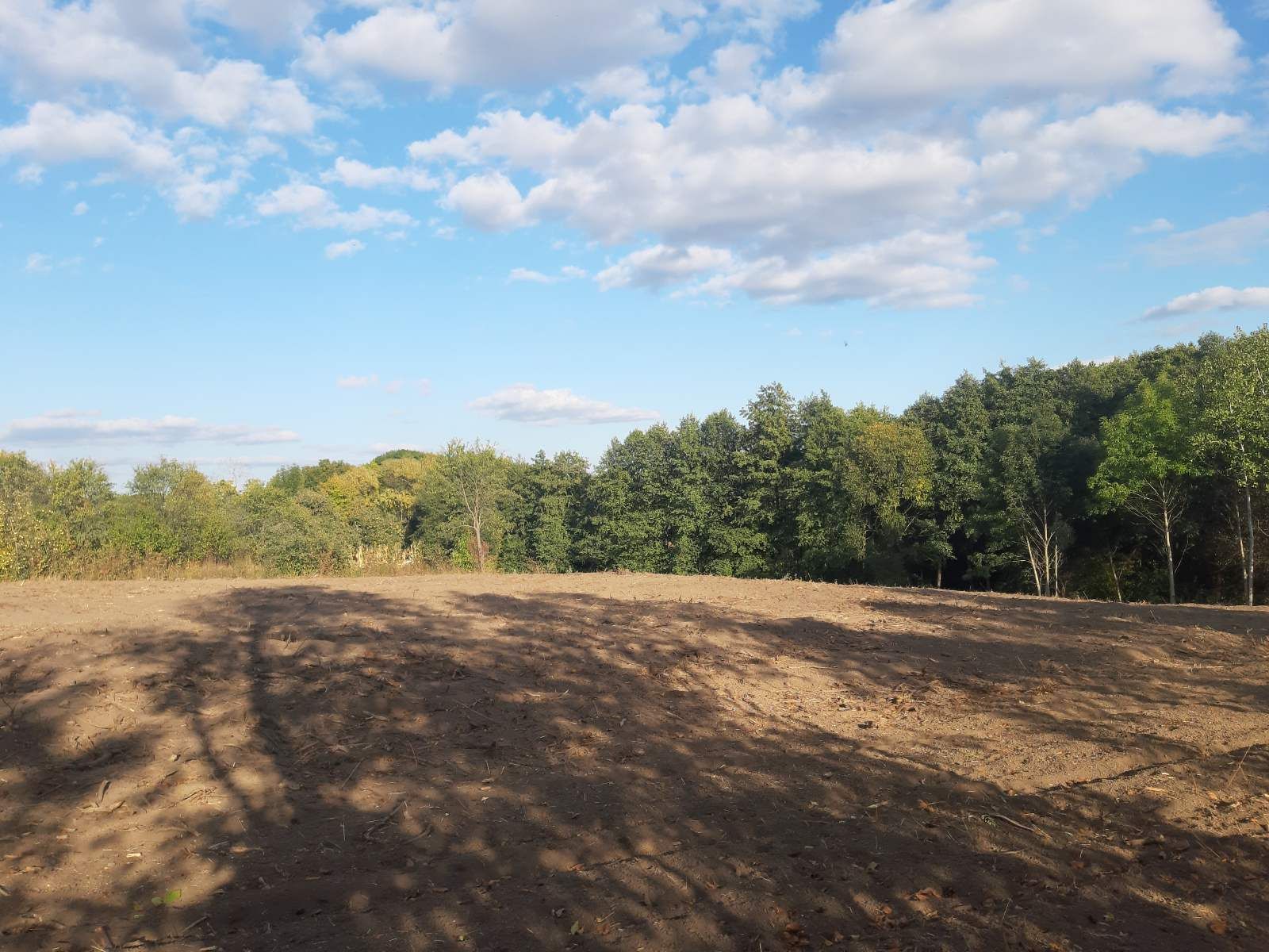 Передача собственности на землю