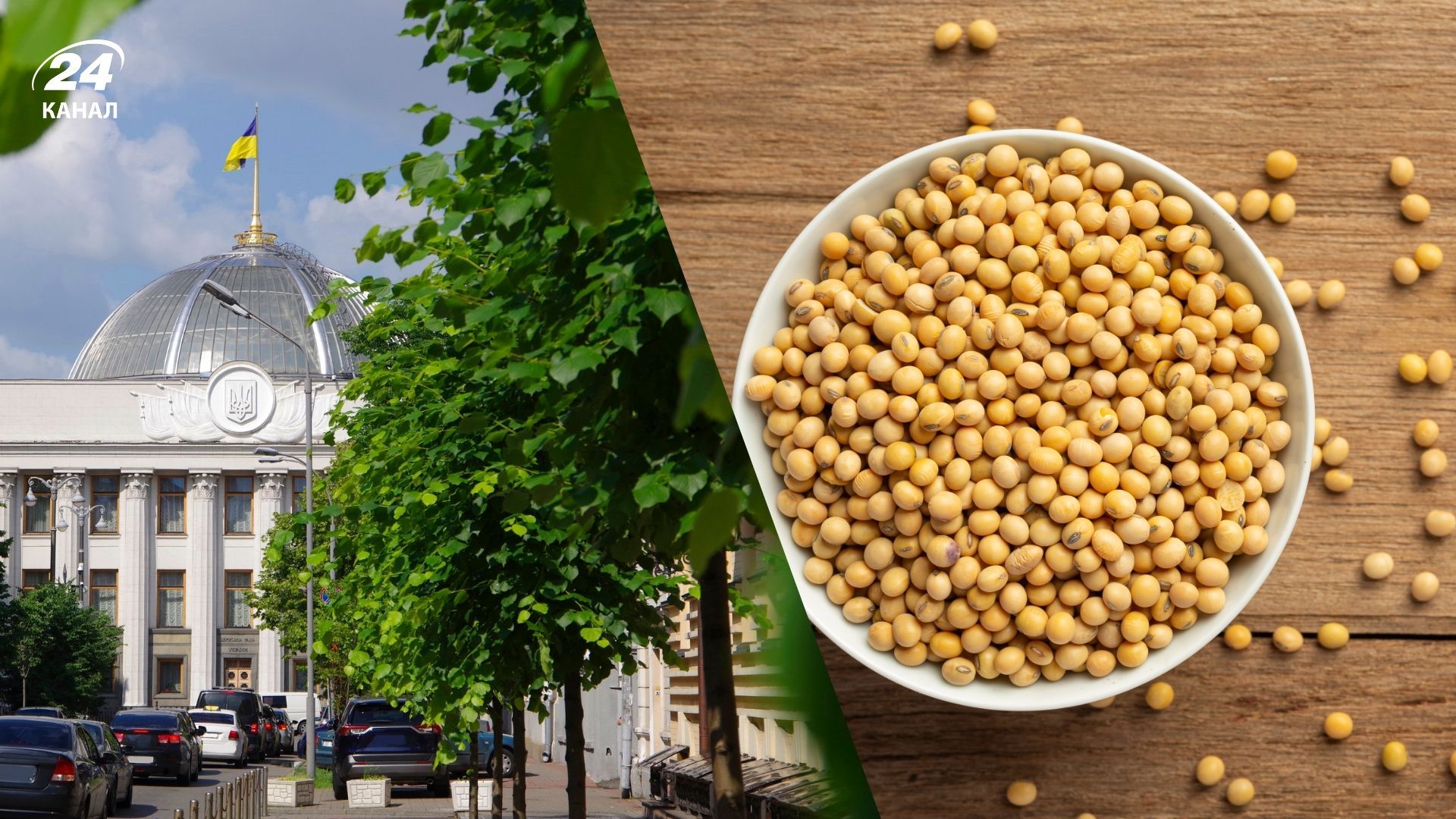 Соево-рапсовые правки приняли