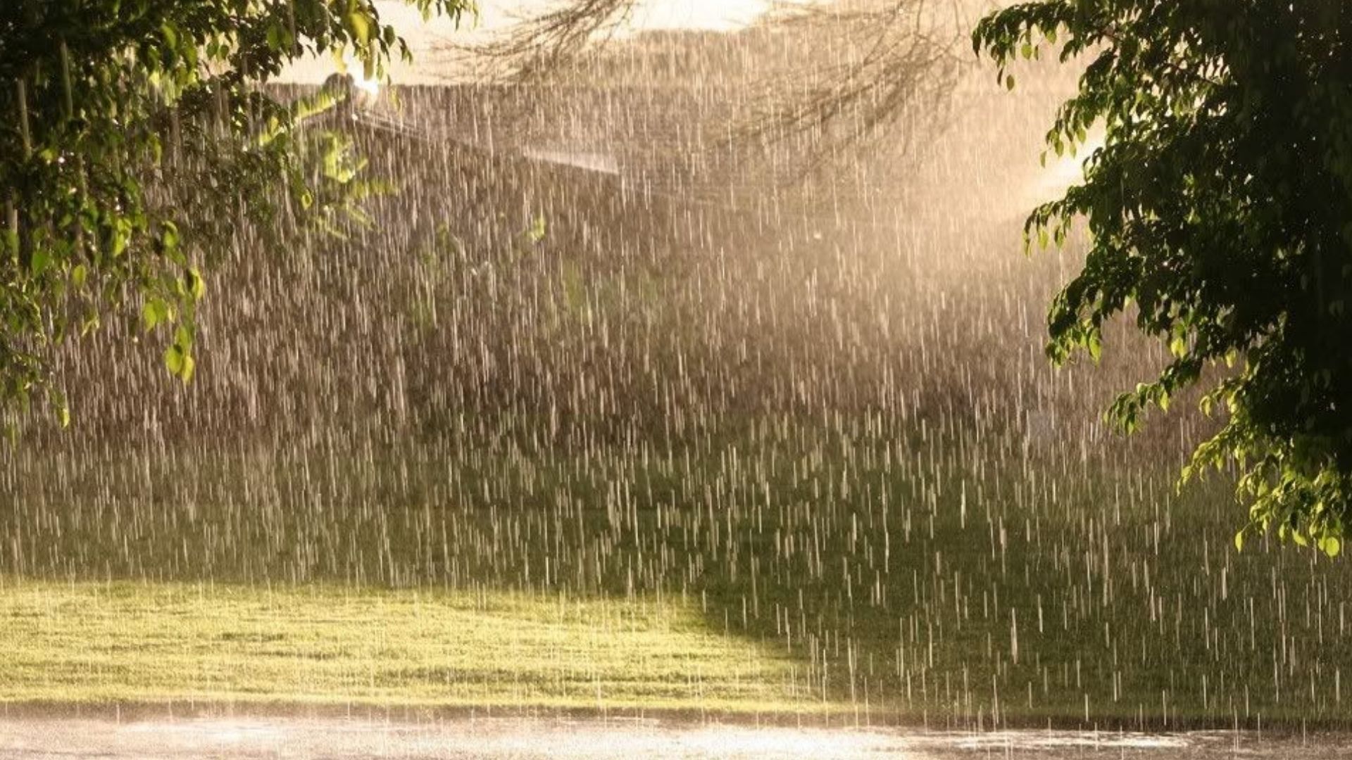 Дожди, град, шквалы вскоре накроют Украину - в каких областях будет царить непогода Дожди, град, шквалы вскоре накроют Украину - в каких областях будет царить непогода